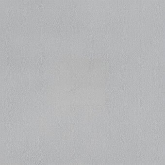 Light gray leather texture with a fine, pebbled grain and matte finish; sample labeled “egoitaliano > leather (b) > bennu > 8495”.